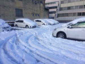 雪②